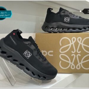 الاسود ليوي العالي القديم -16